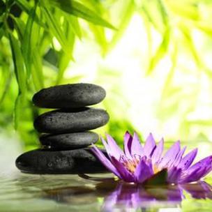 Meditation 3rd week Data in Brain about world and real world
