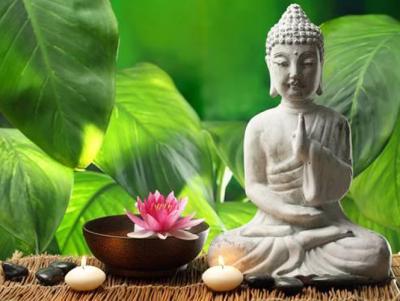 Meditation Courses